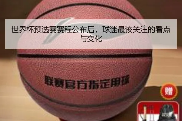 世界杯预选赛赛程公布后，球迷最该关注的看点与变化
